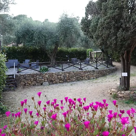 Agriturismo Pimpinnacolo Farm stay *